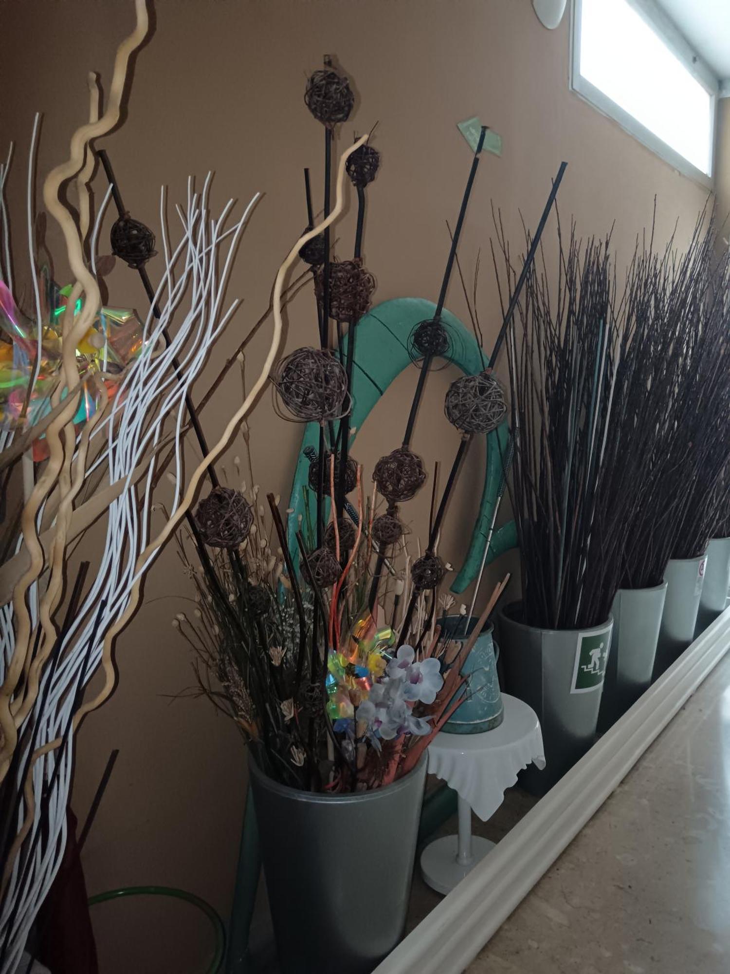Pensionat Ecohouse & Bioveg Cafe Rom