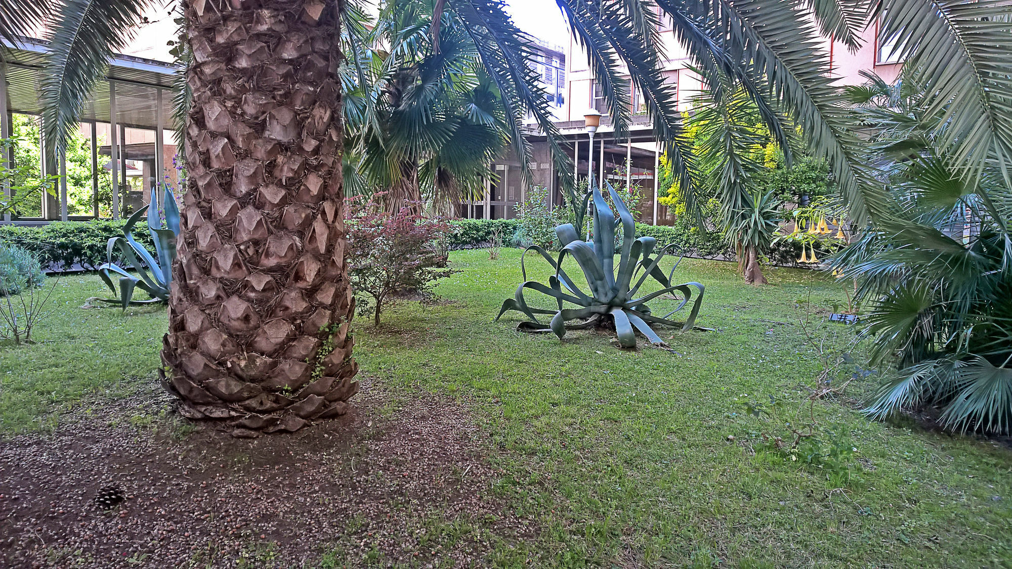 Pensionat Ecohouse & Bioveg Cafe Rom